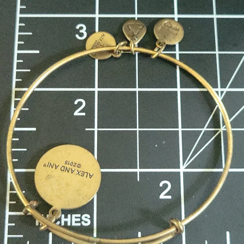 Alex and Ani Alpha Chi Omega AXO Bangle Bracelet Rafaelian Gold   Preppy